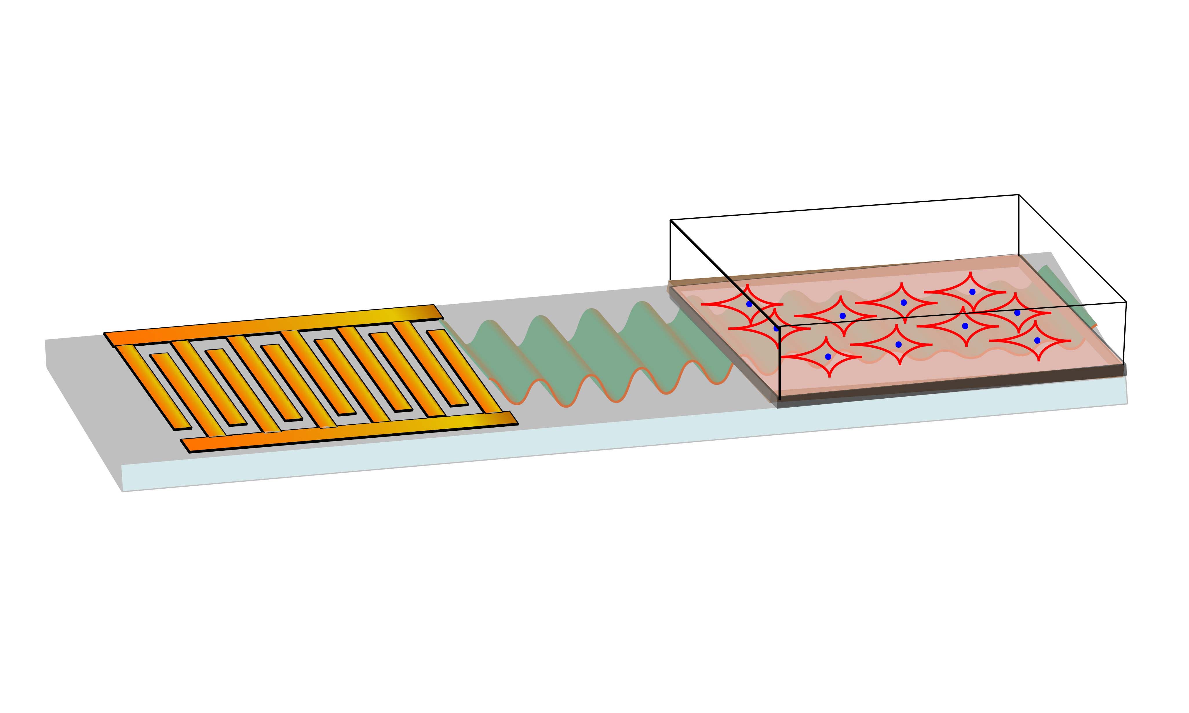 A graphic illustration of the innovative stem cell treatment. The microchip on the left generates high-frequency sound waves (green) to precisely manipulate the stem cells, which are placed in silicon oil on a glass bottomed culture plate.