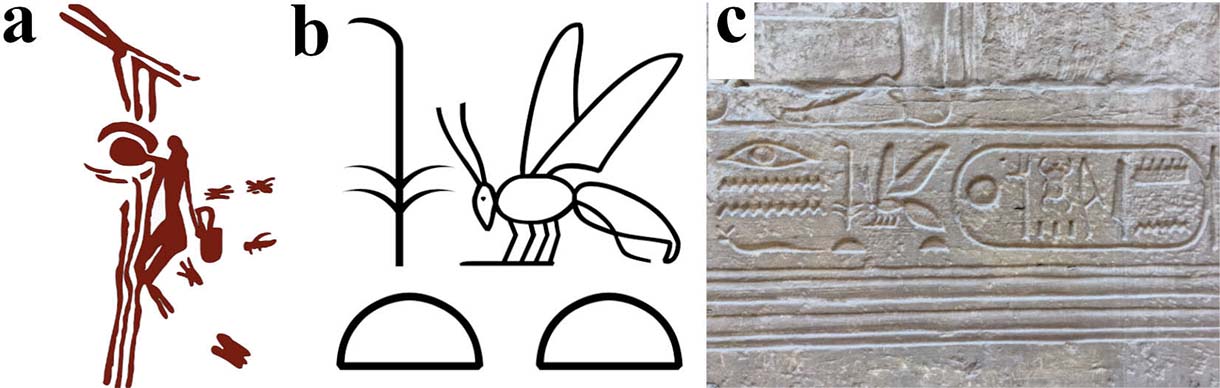 Examples of cave art and hieroglyphics featuring bees.