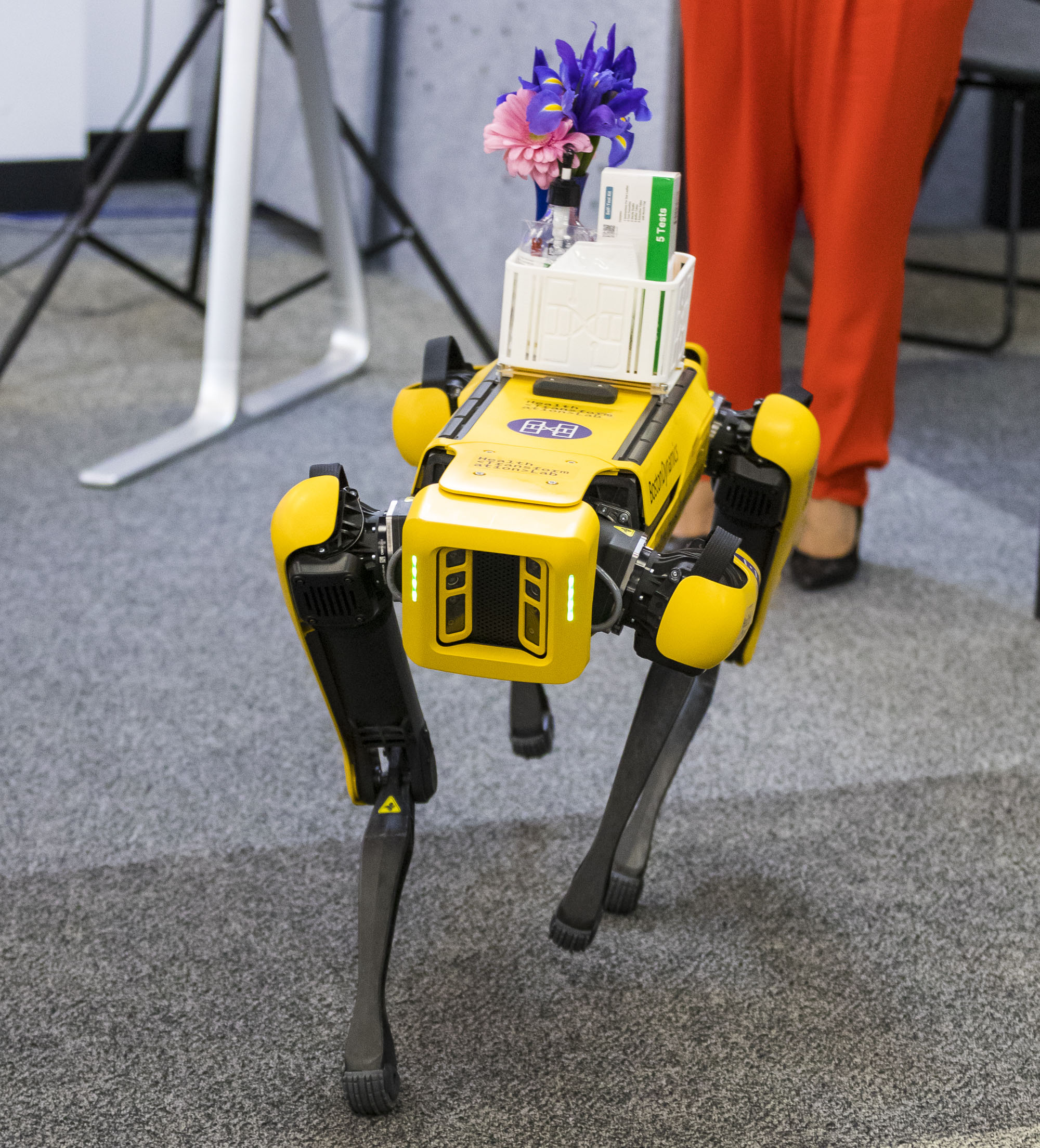 A robotic dog delivers tests and flowers