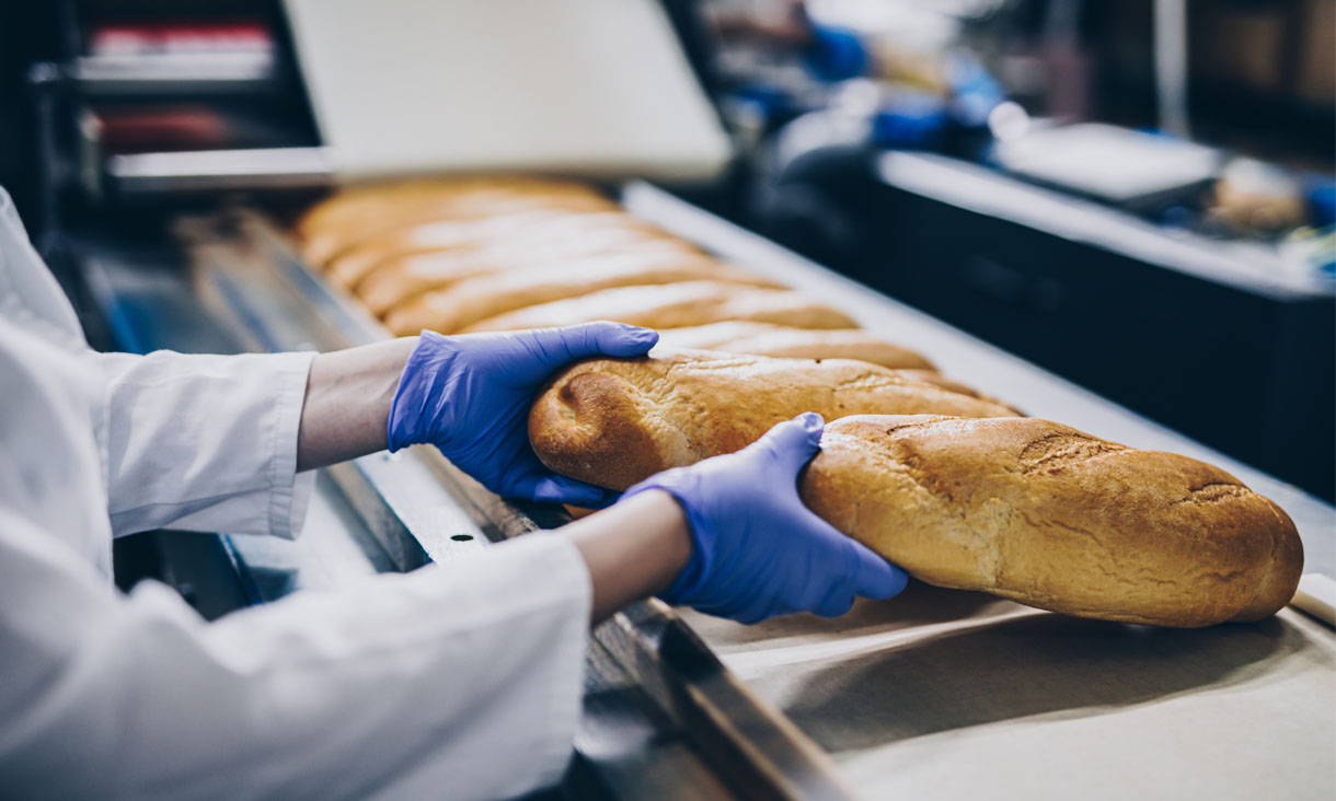 Bread on a conveyor belt at a food processing factory is being handled my a person wearing blue disposable gloves.