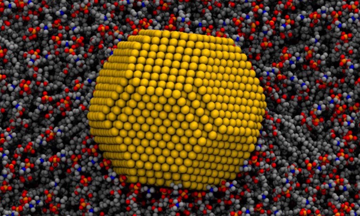 A computer-generated image of a single gold nanoparticle rolling along a cell membrane. Credit: RMIT University
