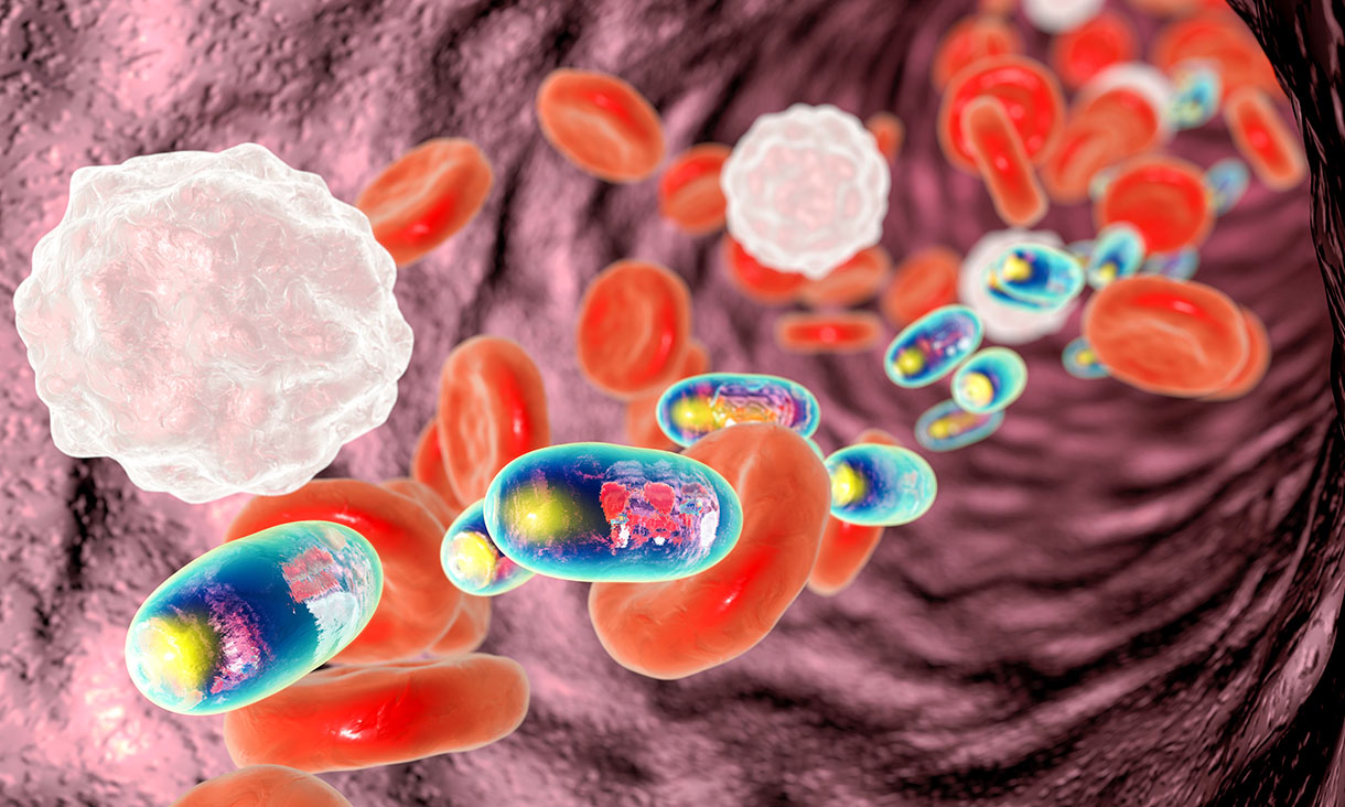 Artist impression of nanomedicines being delivered in the body. Credit: Adobe Stock