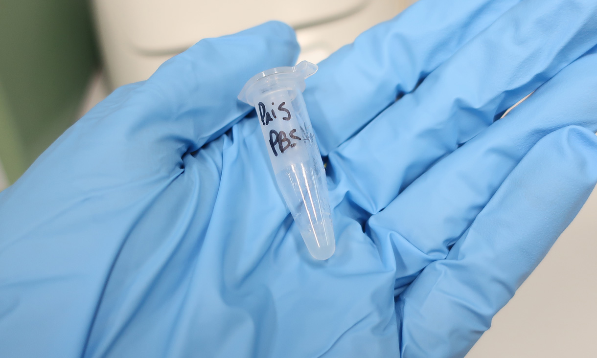A vial of Priscilicidin, an antimicrobial peptide, on a blue, gloved hand.