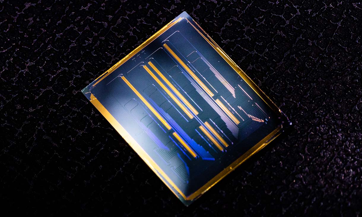 This lithium niobate chip is the size of a fingernail and is made on thin film lithium niobate and can be used in telecommunications, to make our internet faster. Credit: RMIT University