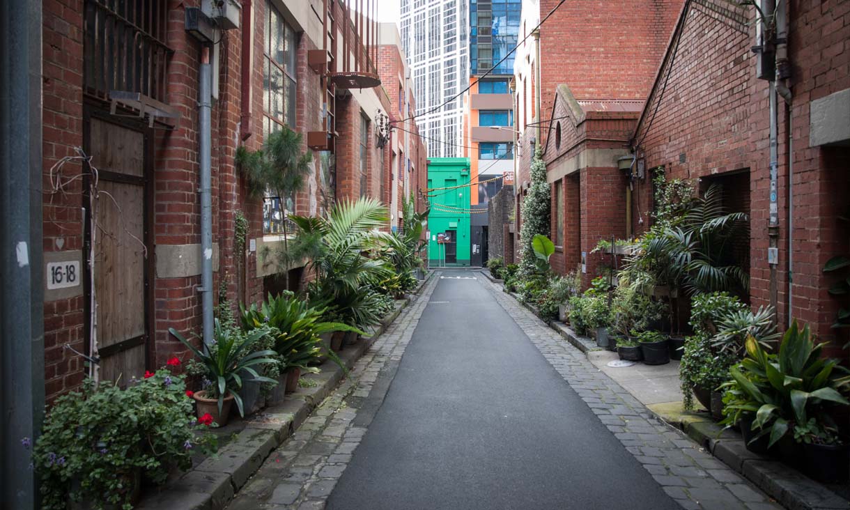 A Melboune alleyway full of potted plants to increase greenery.