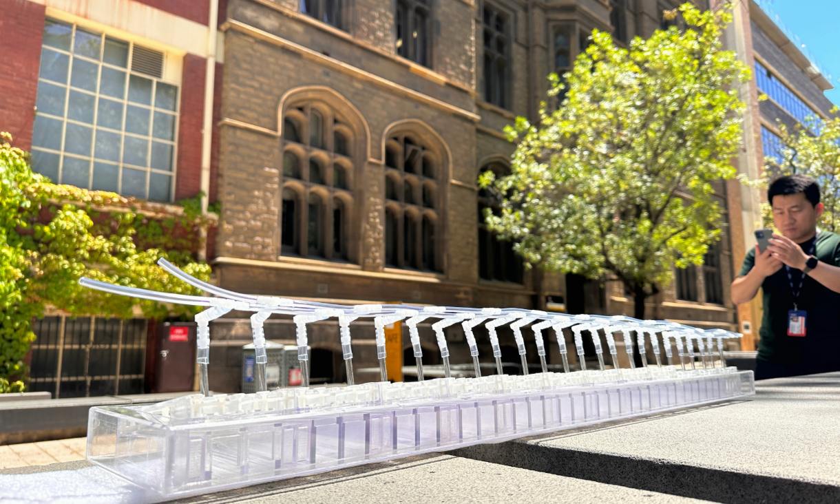 Resize image project (1).jpg