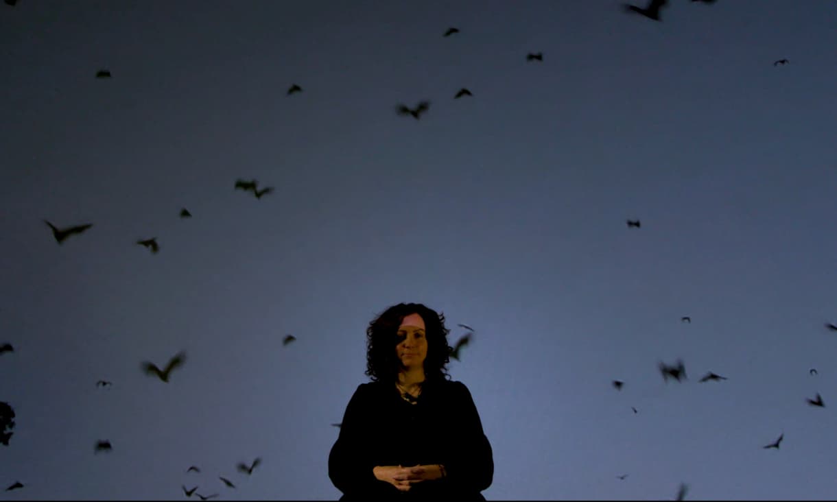 A woman sits on a chair on a stage with a screen showing flying bats behind her