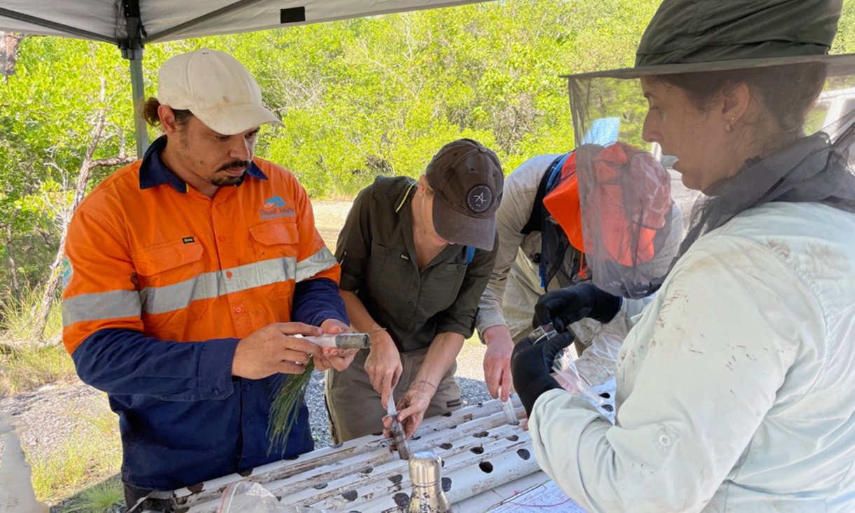 Gavin Singleton (left) from Dawul Wuru Aboriginal Corporation inspects a mangrove swamp mud sample with RMIT's Dr Micheli Costa (right).
