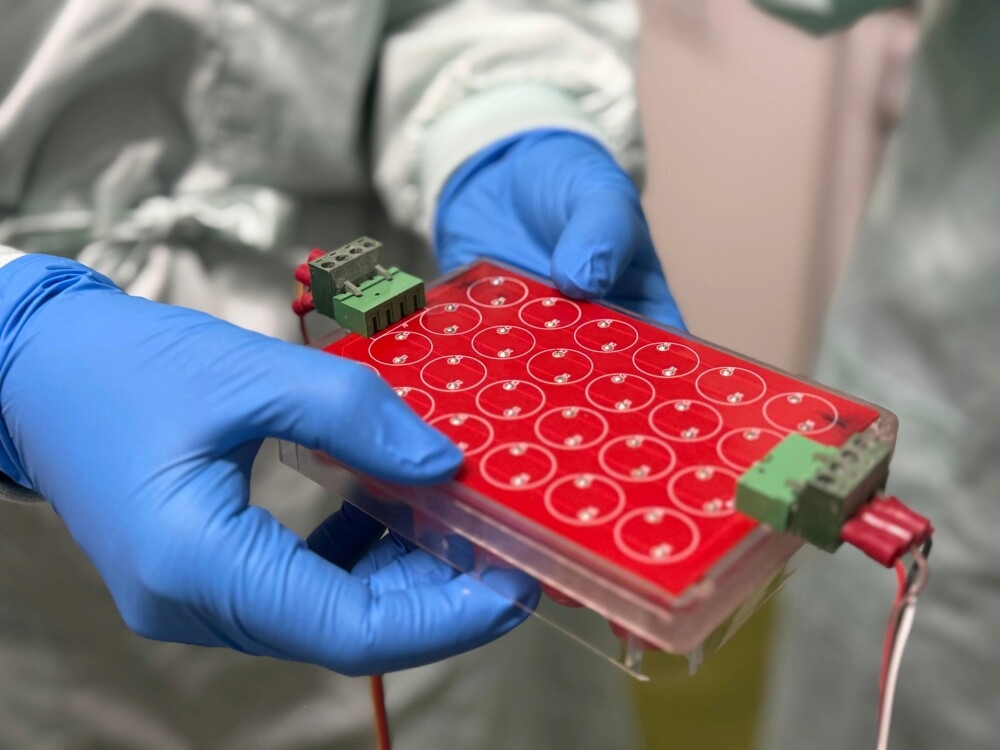 幹細胞を電気刺激して新しい組織や臓器の成長を促進 (Zapping stem cells could boost growth of new tissues and organs)