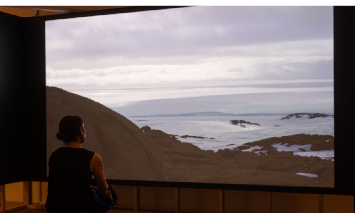 A woman is sitting in front of a projector displaying a shrubby antarctic landscape