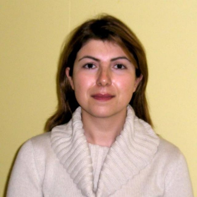 Sara moridpour thesis picture