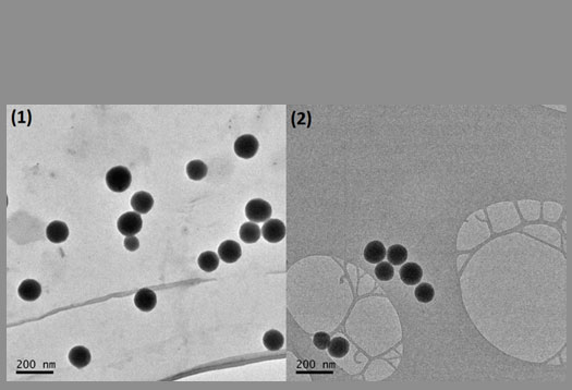 Figure 2: TEM images of SiO₂ nanoparticles (1) coated with coumarin derivatives-based copper sensing molecules; (2) pure SiO₂ nanoparticles.