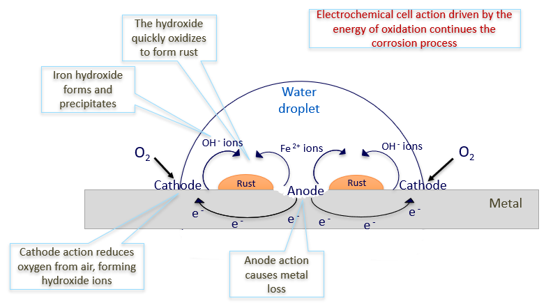 Schematic illustration of corrosion of iron under an electrolyte droplet’s cross section