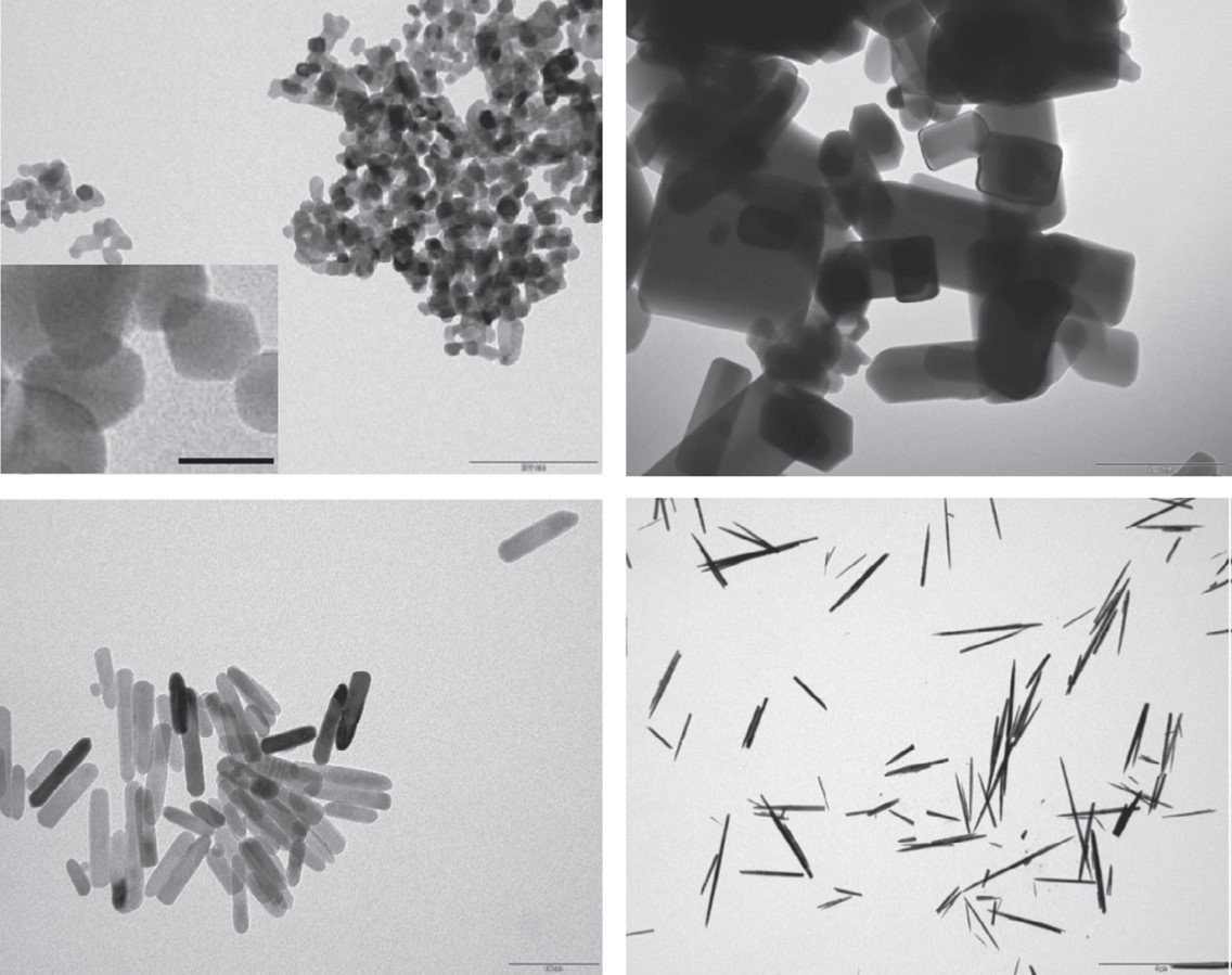 (d) ZnO nanostructures with different morphologies for antimicrobial applications
