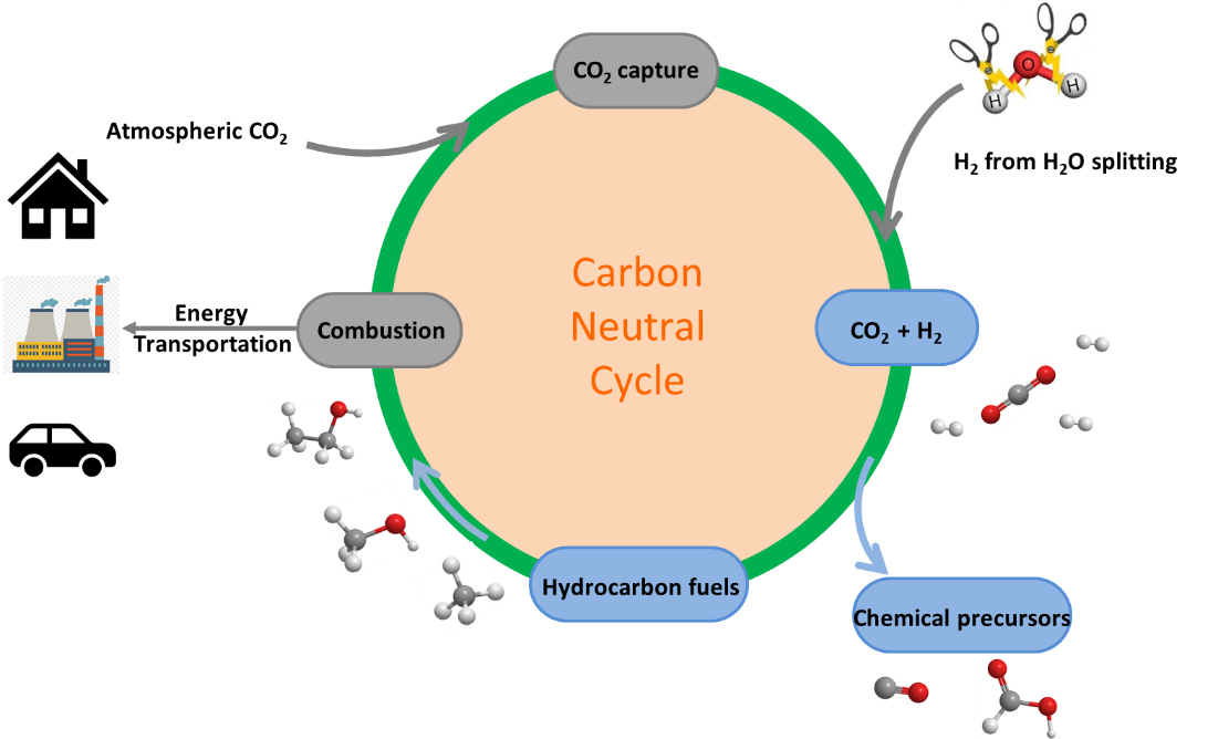 Figure 1: The carbon-neutral cycle