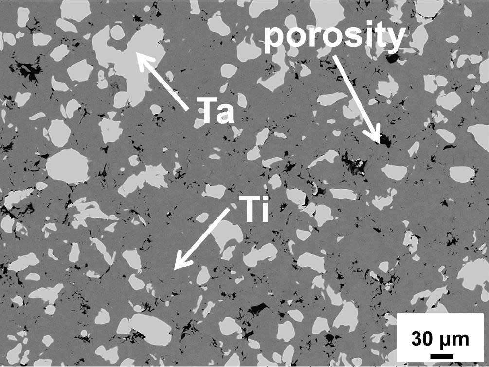 Figure 2. Microstructure of Cold Sprayed Ti-30%Ta coating