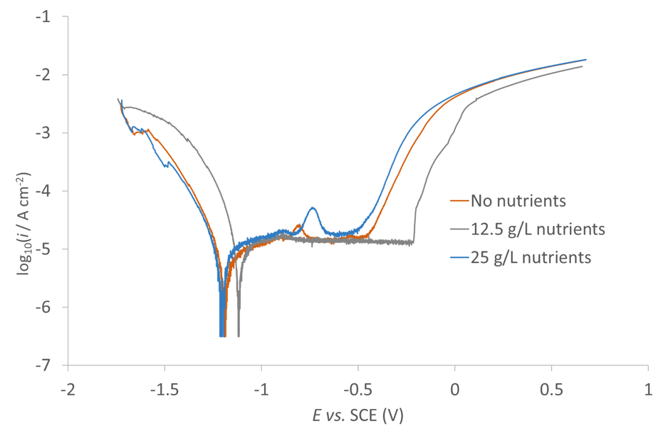 Figure 3: Potentiodynamic polarisation curves of steel coupons in contact with 4 g/L semi-solid agar and nutrients