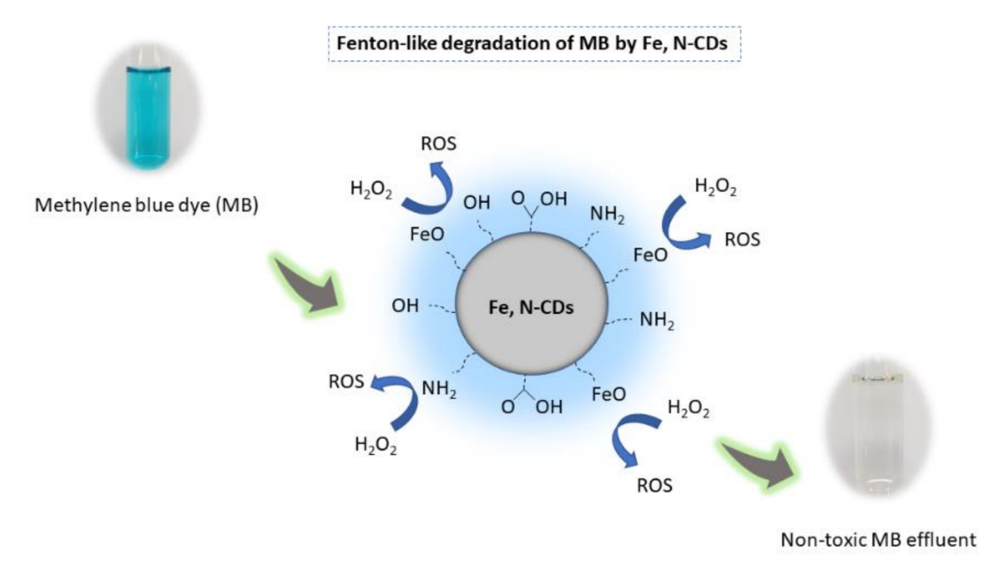 Illustration of the potential mechanism of CDs as Fenton-like catalysts