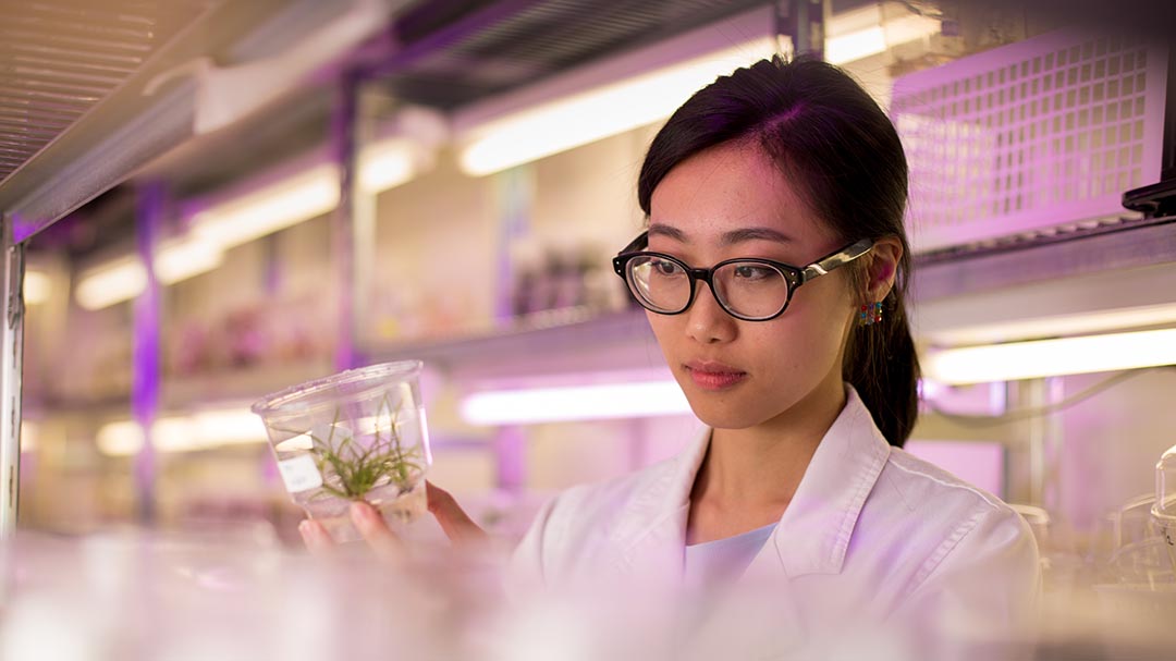 Female student closely examining plant life in a glass container