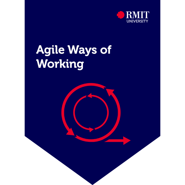 Agile Ways of Working