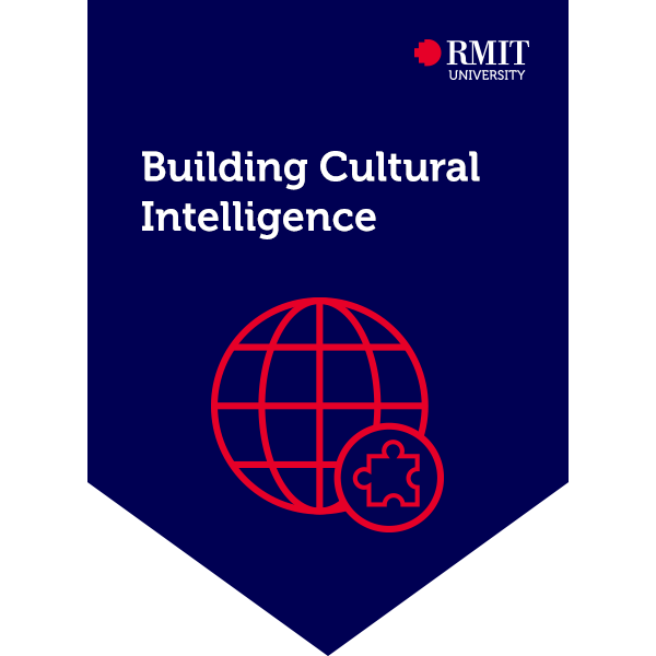 Building Cultural Intelligence - C-DIV301