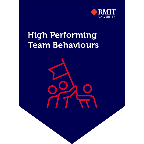 High Performing Team Behaviours