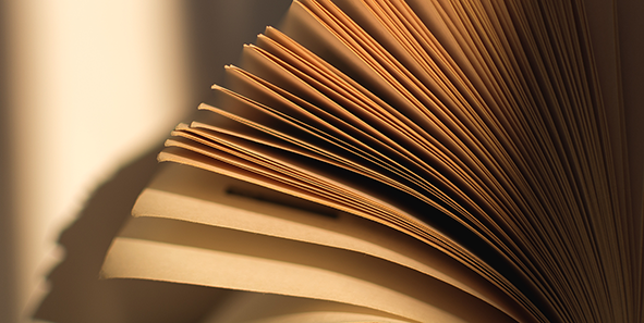 Rmit procurement picture